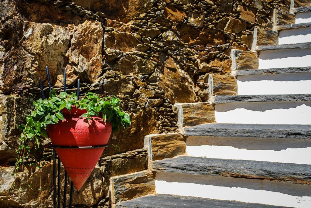 Alojamentos Turisticos Sao Torcato Moradal Turismo Espaco Rural Estreito Buitenkant foto